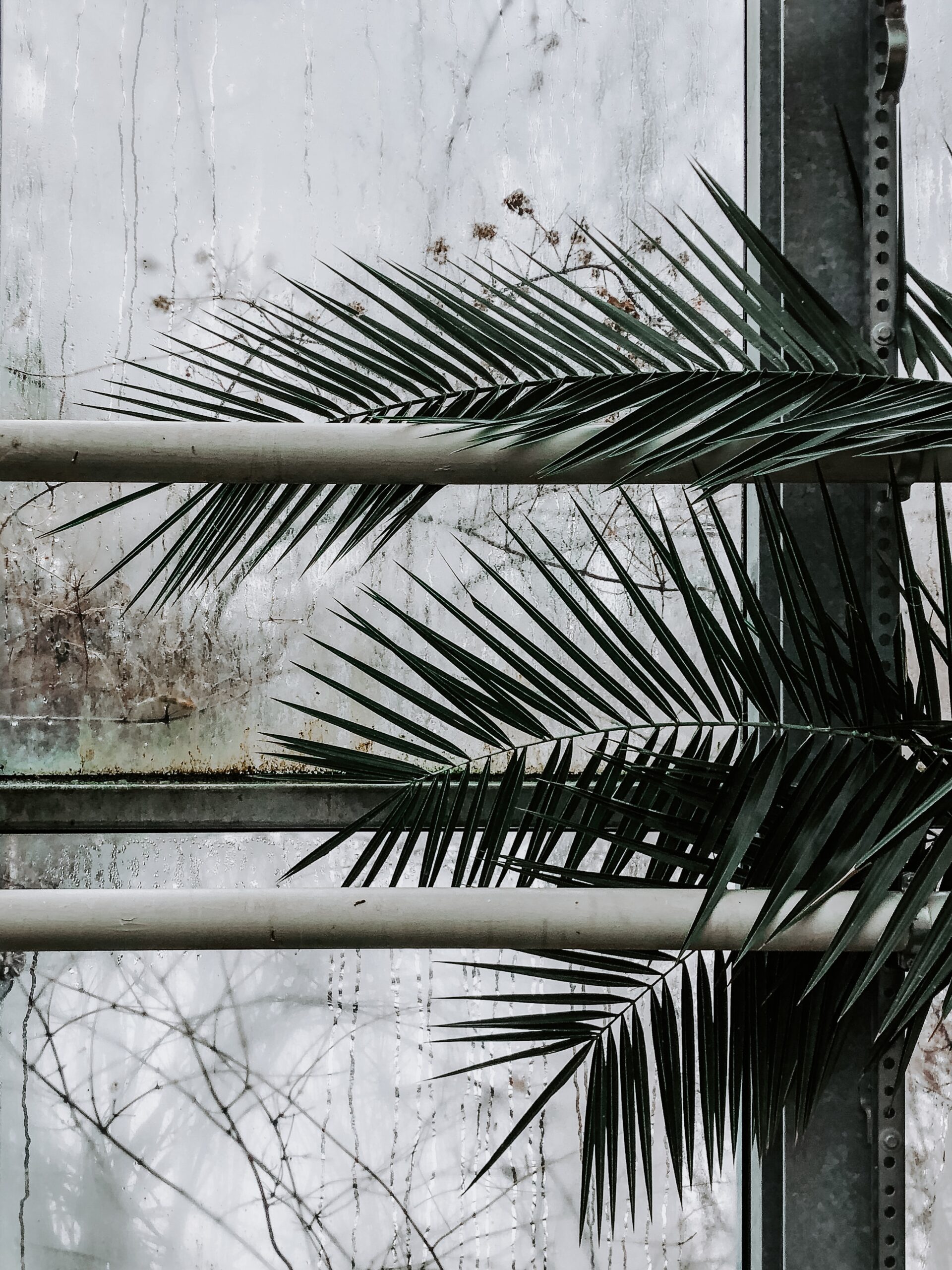 Max van den oetelaar p q2bum cru unsplash